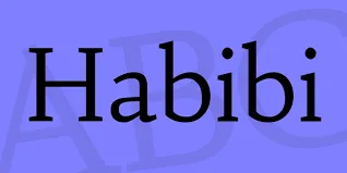 Habibi Meaning