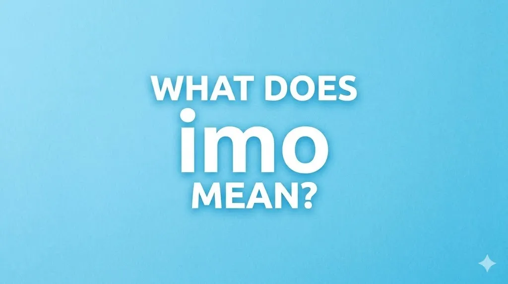 IMO Meaning